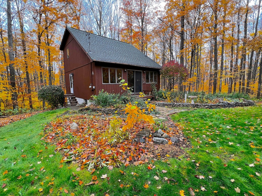 11428 Wilderness Trail, Vanderbilt, MI 49795 - photo 1