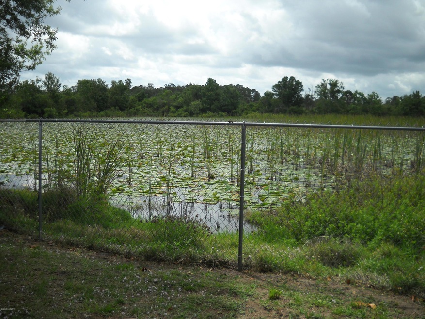 Lake Front