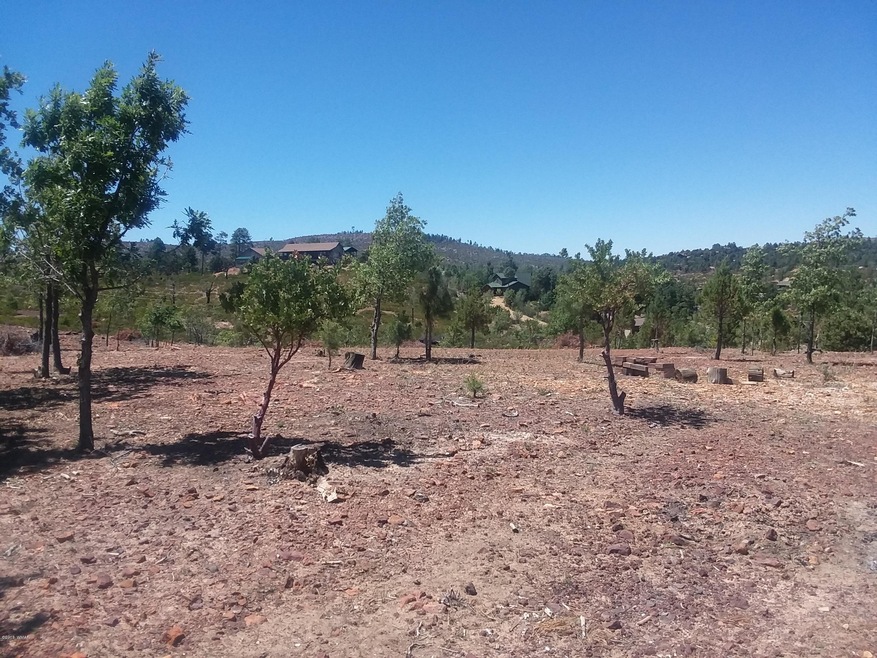 Many trees planted throughout lots