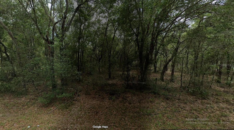 3298 E Pierce St, Inverness Highlands North, FL 34453 - photo 1