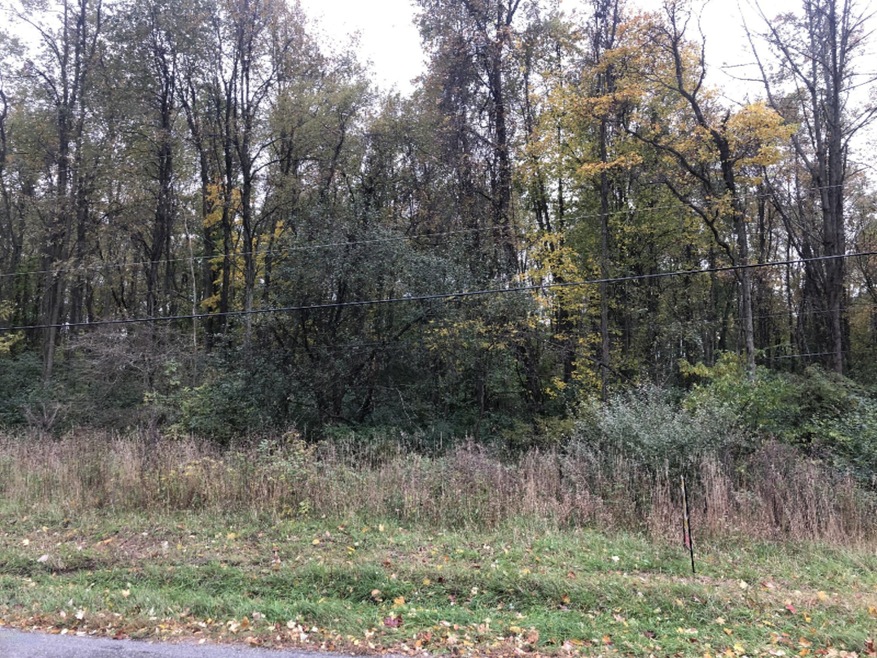 Briar Rd