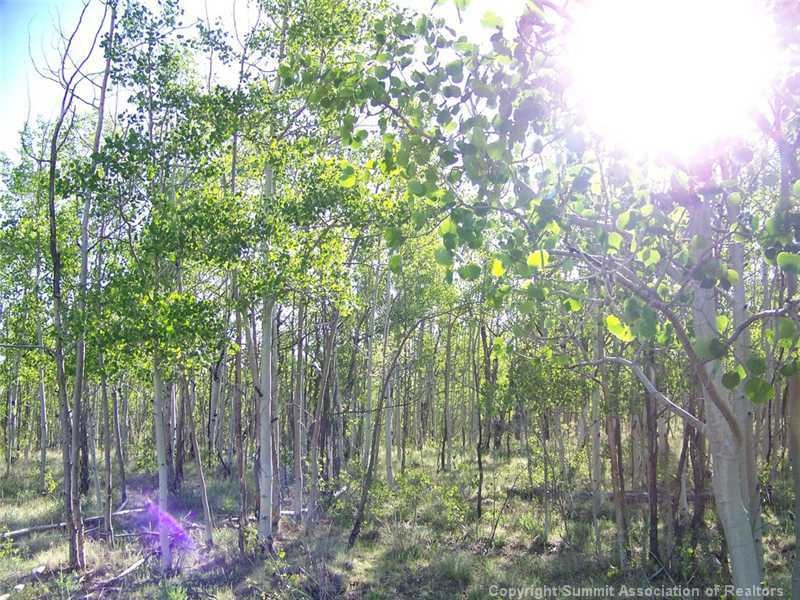 579 Old Squaw Rd, Como, CO 80432 - photo 1