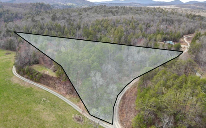 LOTS Creekside Ln, Mineral Bluff, GA 30559 - photo 1