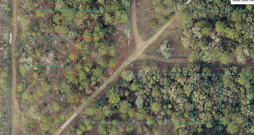 TBD SW 156th Terrace Rd, Rainbow Park, FL 34481 - photo 1