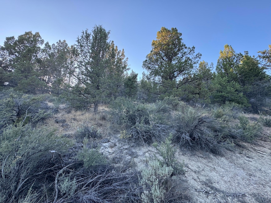 0 Shasta unit 7 220206672, Sprague River, OR 97639 - photo 1