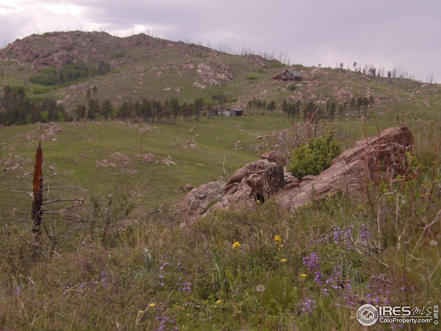 3434 Davis Ranch Rd, Bellvue, CO 80512 - photo 1