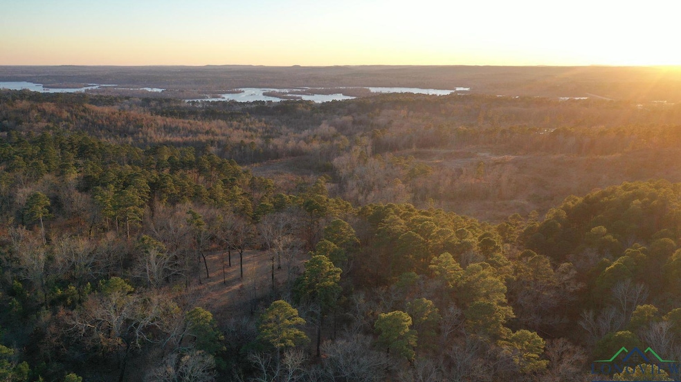 Aerial view at dusk featuring a forest view and a 