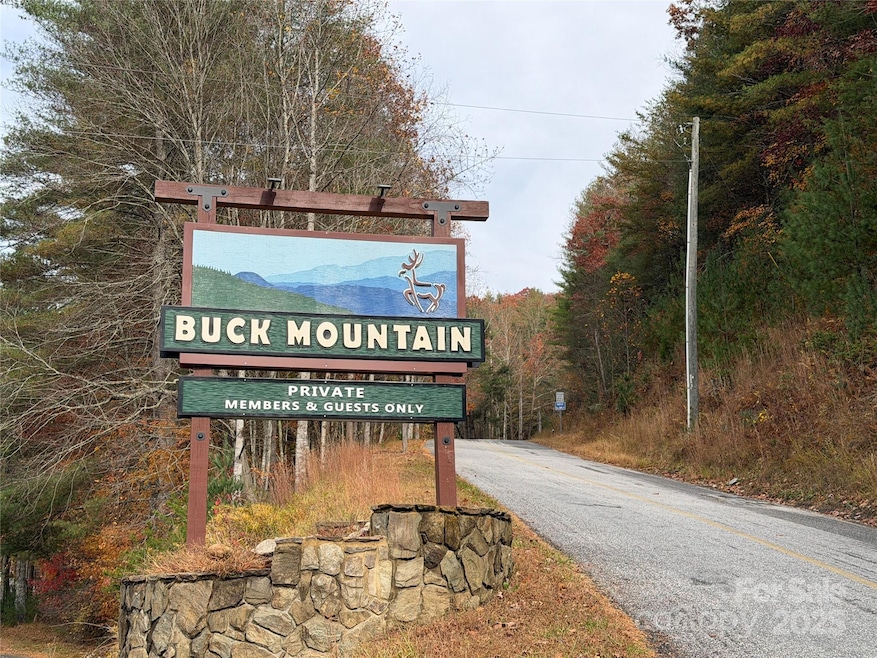 Welcome to Buck Mountain!