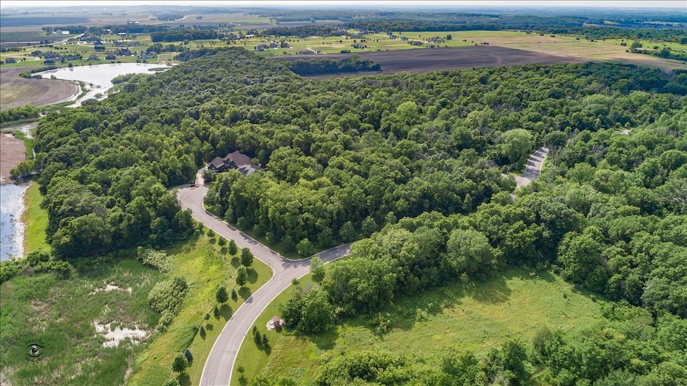 7303 Roberts Dr, Na-Au-say Township, IL 60543 - photo 1