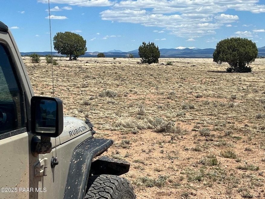 70 Off of Volcano, Ash Fork, AZ 86320 - photo 1