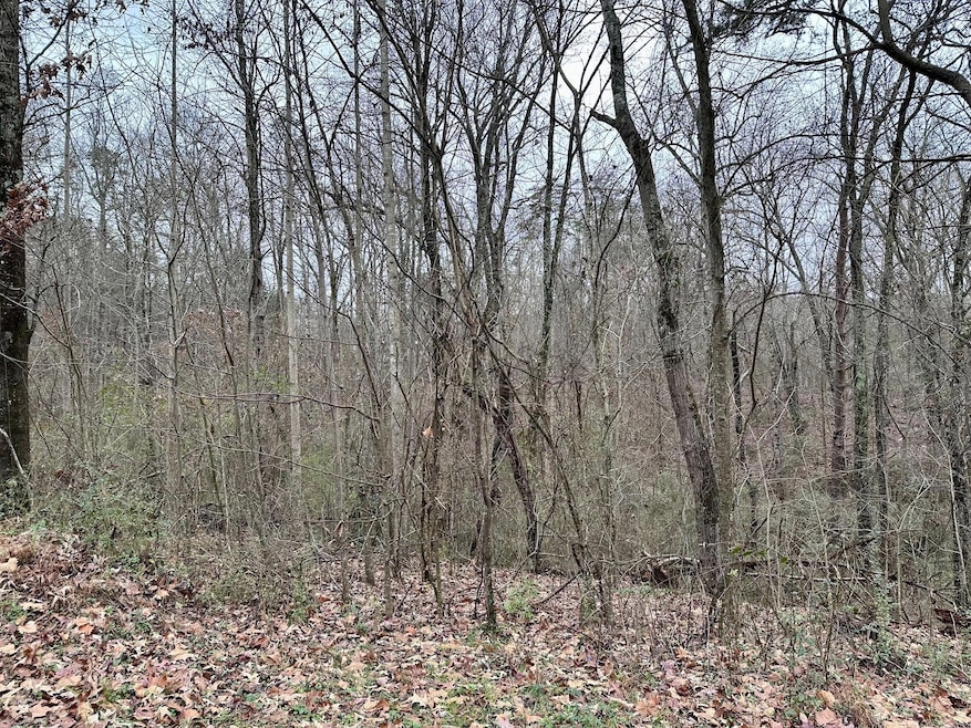 310 Brumlow Hollow Rd, Soddy-Daisy, TN 37379 - photo 1