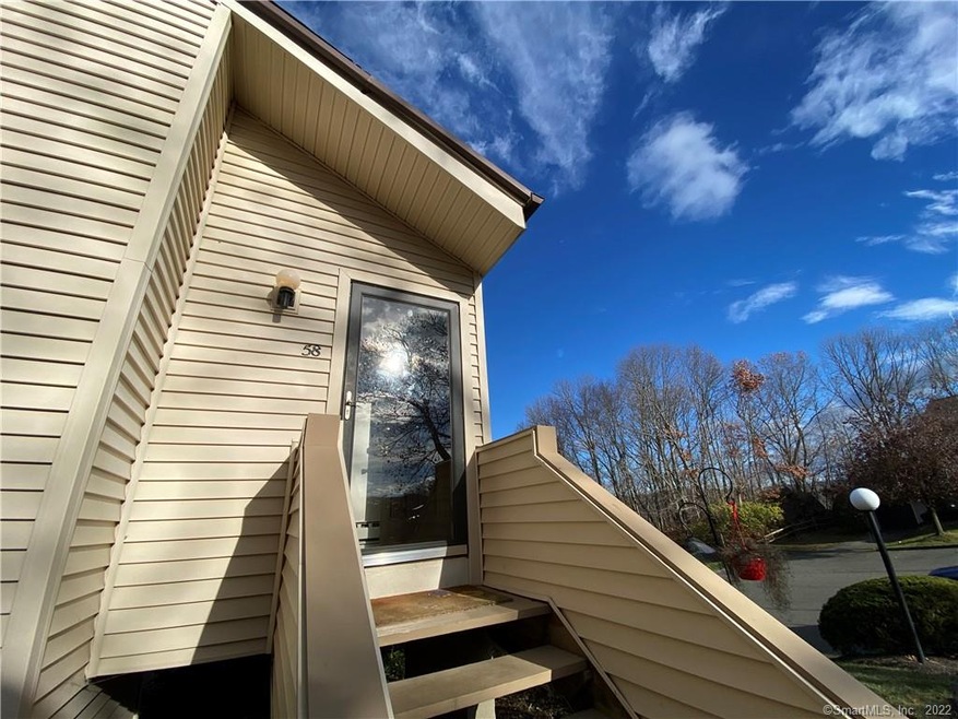 58 Natureview Trail unit 58, Bethel, CT 06801 - photo 1