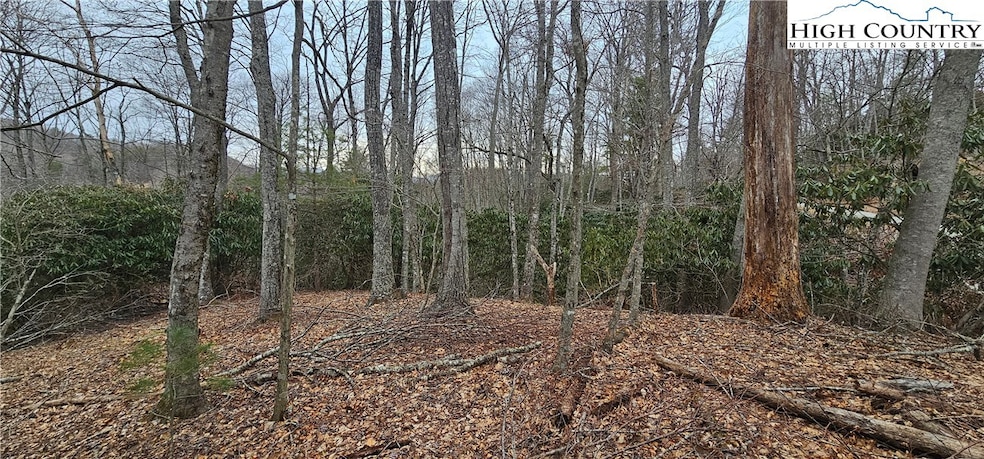 Lot 3 Raven Rock Dr, Boone, NC 28607 - photo 1