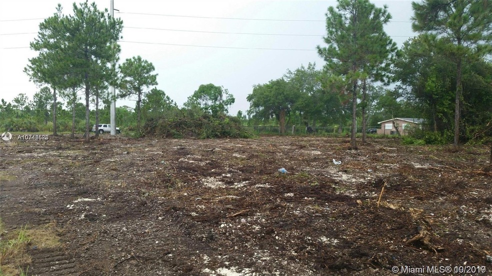 12103 SW 232nd St, Miami, FL 33170 - photo 1