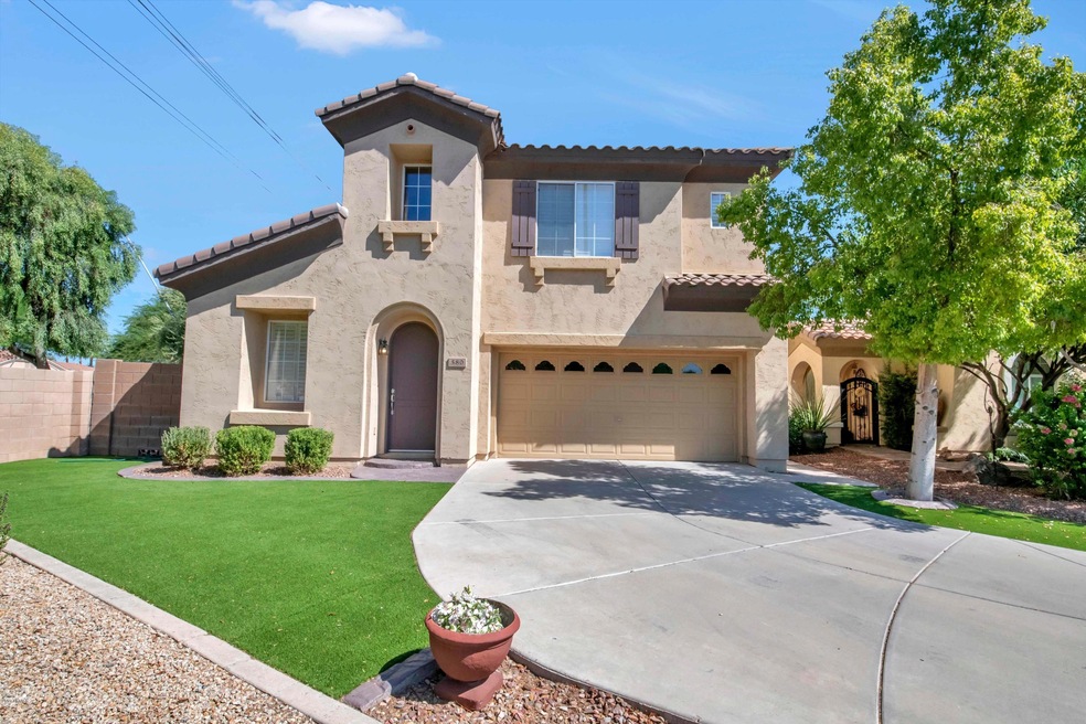 580 N Euc-003-045-DLB 2023-MLS_Size