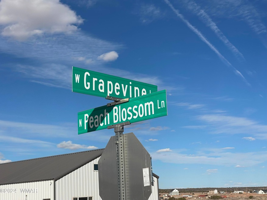 1 acre lot