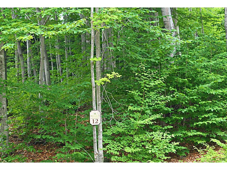 174 S Peak Rd, Lincoln, NH 03251 - photo 1