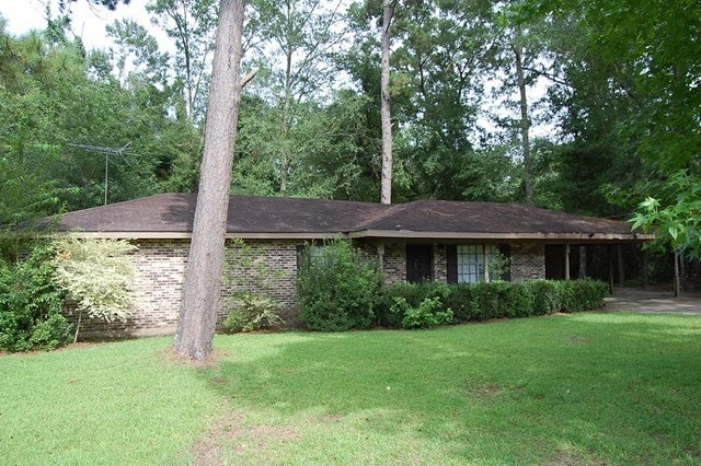 Main View
