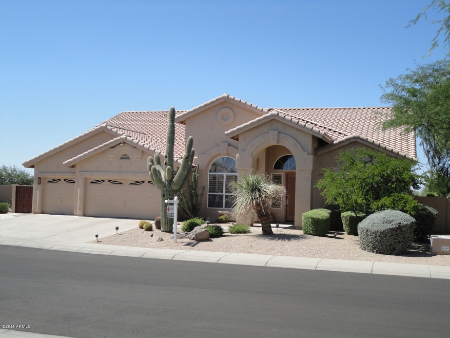 Professionally Landscaped Front Yard