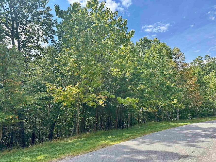 1030 Treetop Ridge Rd, Blacksburg, VA 24060 - photo 1