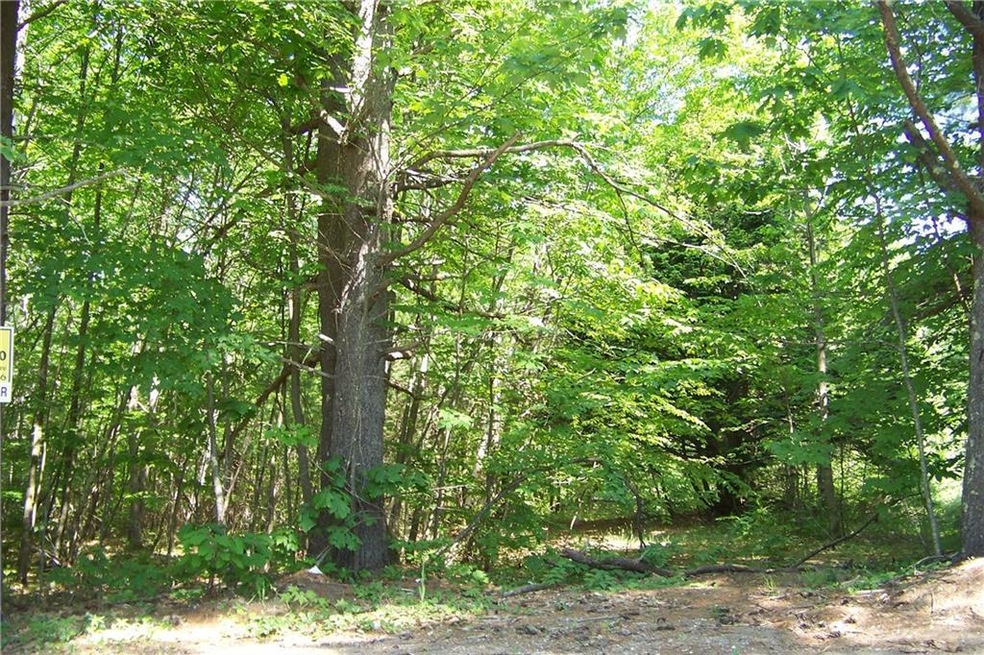 Lot 8 Buzzell, Acton, ME 04001 - photo 1