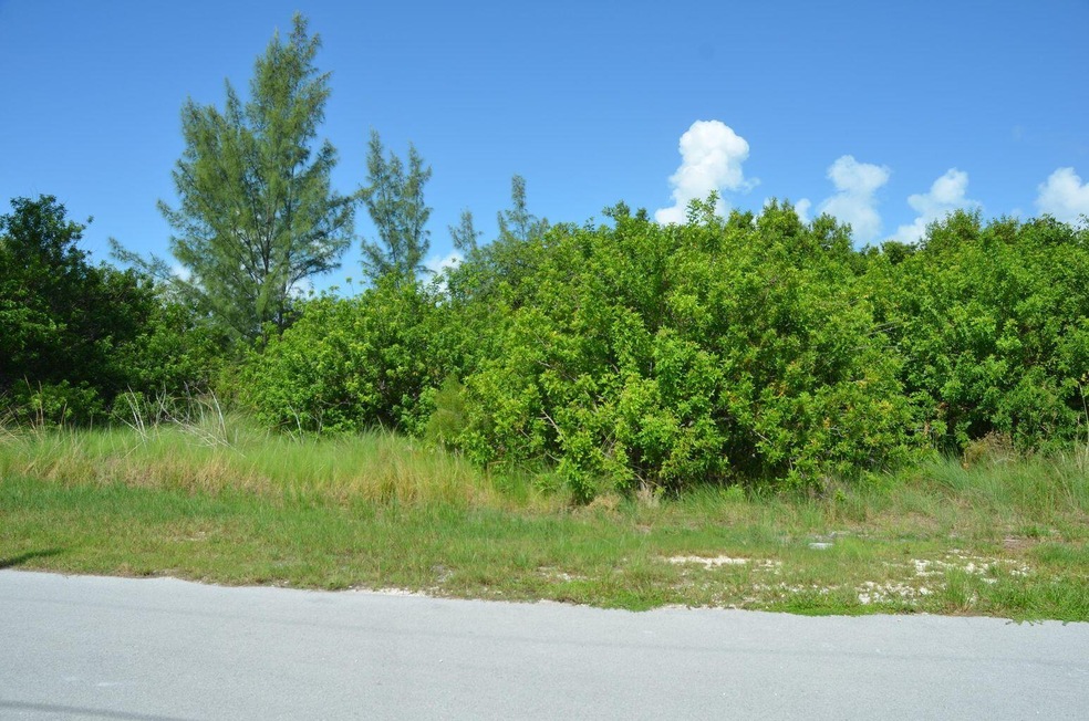 lot 1
