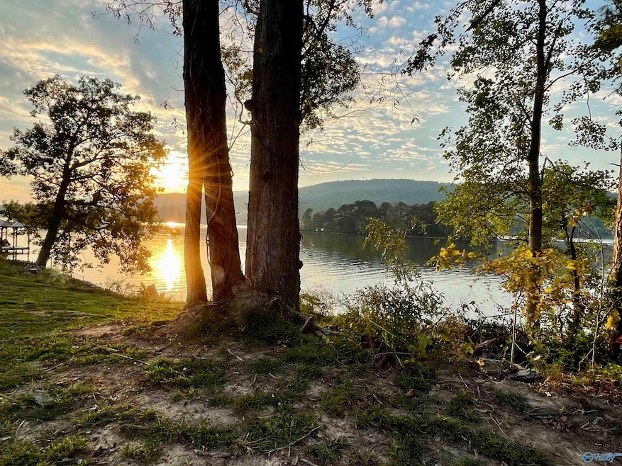 2790 Lake Forest Ct, Southside, AL 35907 - photo 1