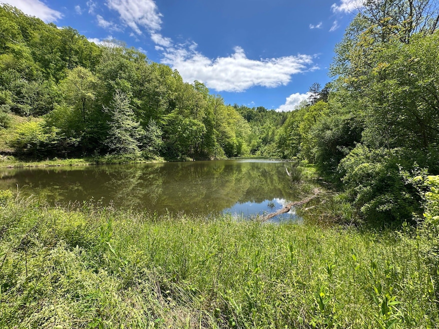 Pond