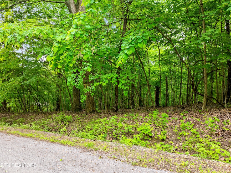 Running Deer Trail Lot-1