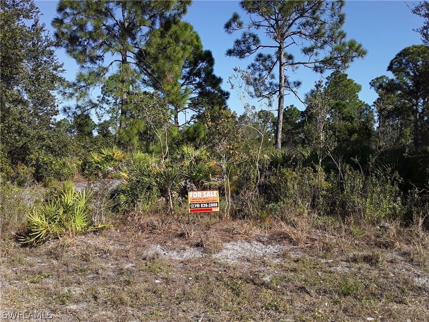 6008 Olive Ave N, Lehigh Acres, FL 33971 - photo 1