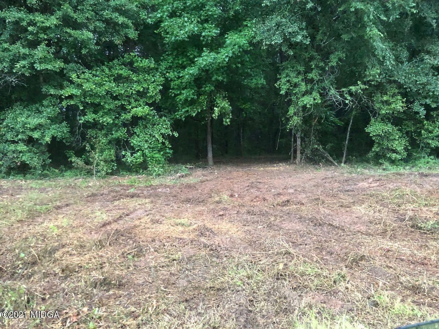 0 Burnett Rd unit 158759, Byron, GA 31008 - photo 1