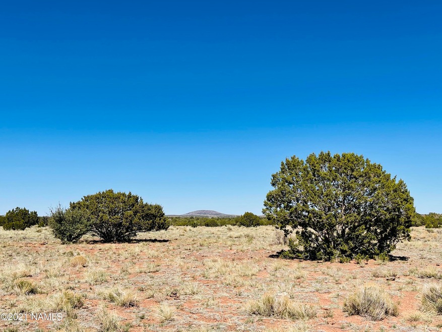 6868 Lasso Loop Photo 3