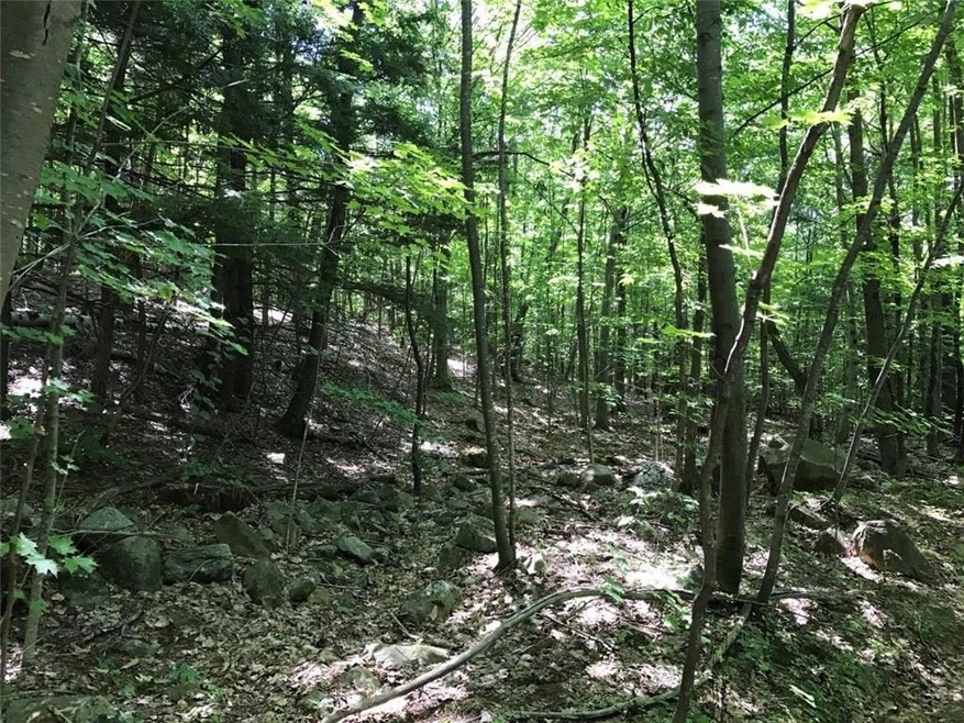 0 Orchard Rd, Acton, ME 04001 - photo 1