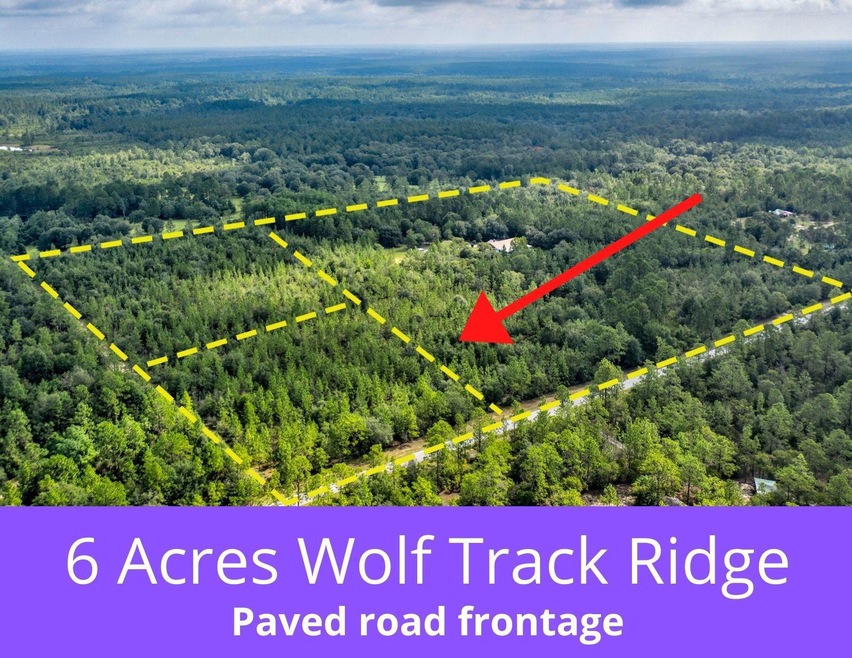 Wolf Track Pic2
