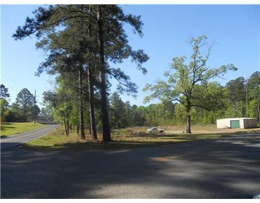 397 Stilley Rd, Pineville, LA 71360 - photo 1