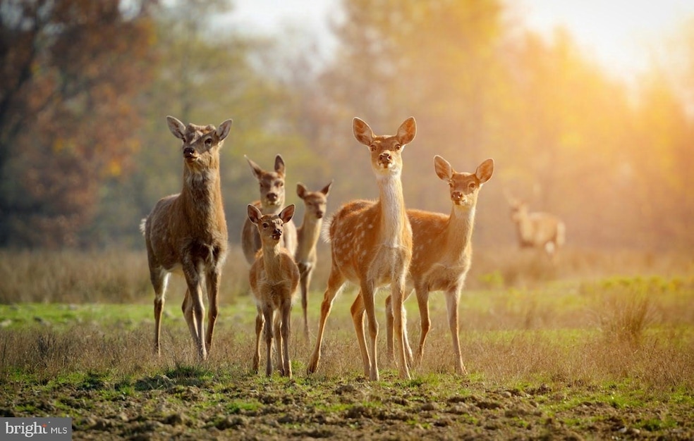 614 Graystones Jeras Rd Lot Hv-3, Albrightsville, PA 18210 - photo 1