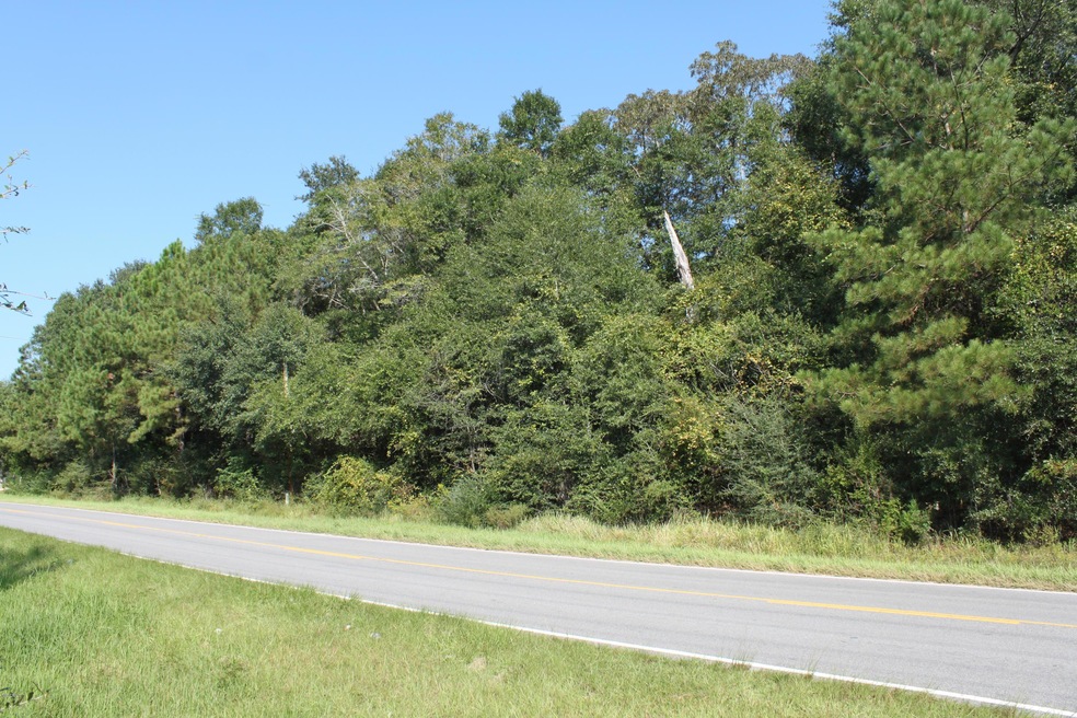 100-171 Cooks Corner Rd, Lucedale, MS 39452 - photo 1