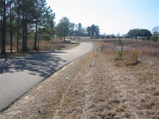 0 Cleve Kennedy Rd, Franklinton, LA 70438 - photo 1