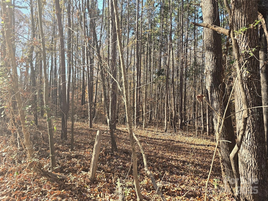 00 Shuffler Woods Rd, China Grove, NC 28023 - photo 1