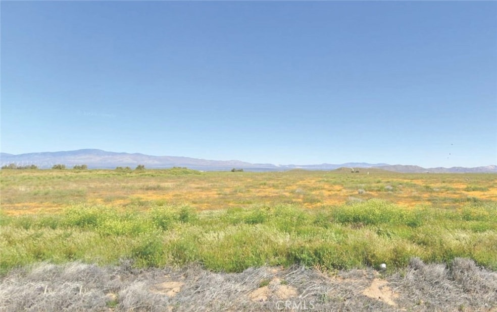 9800 Avenue C-8, Antelope Acres, CA 93536 - photo 1