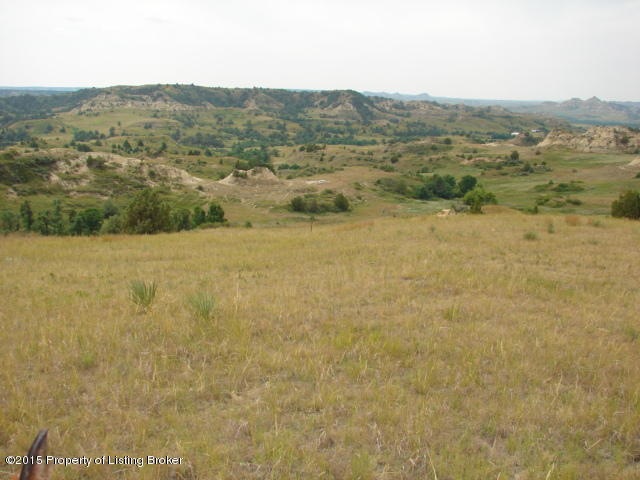 DSC01319