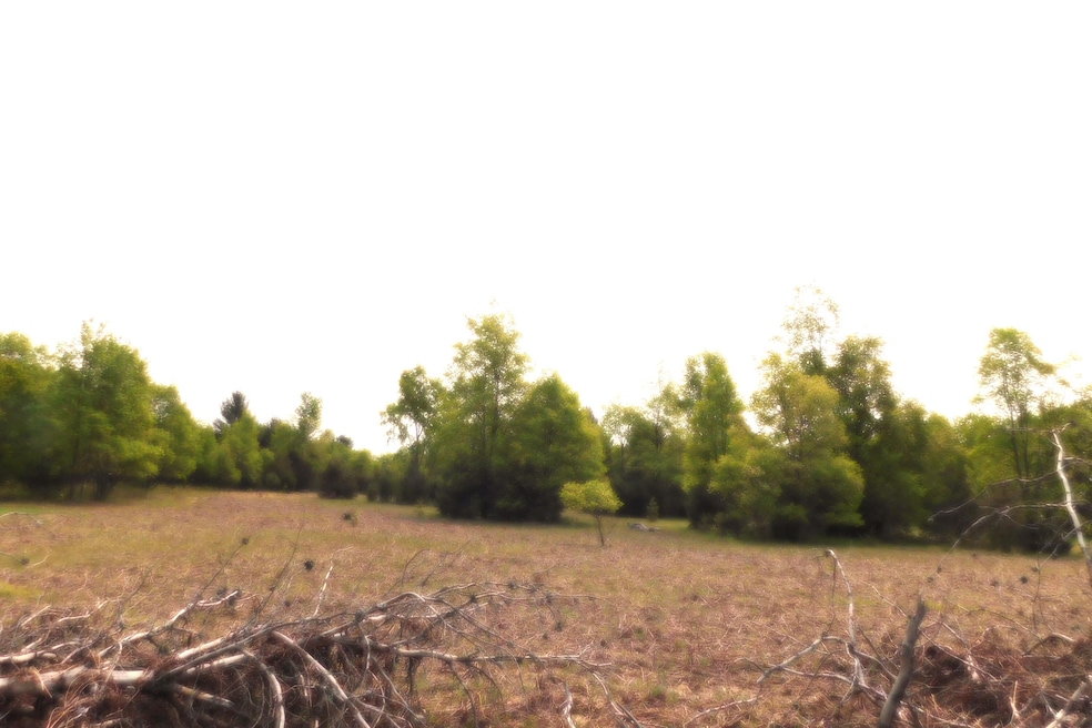open field