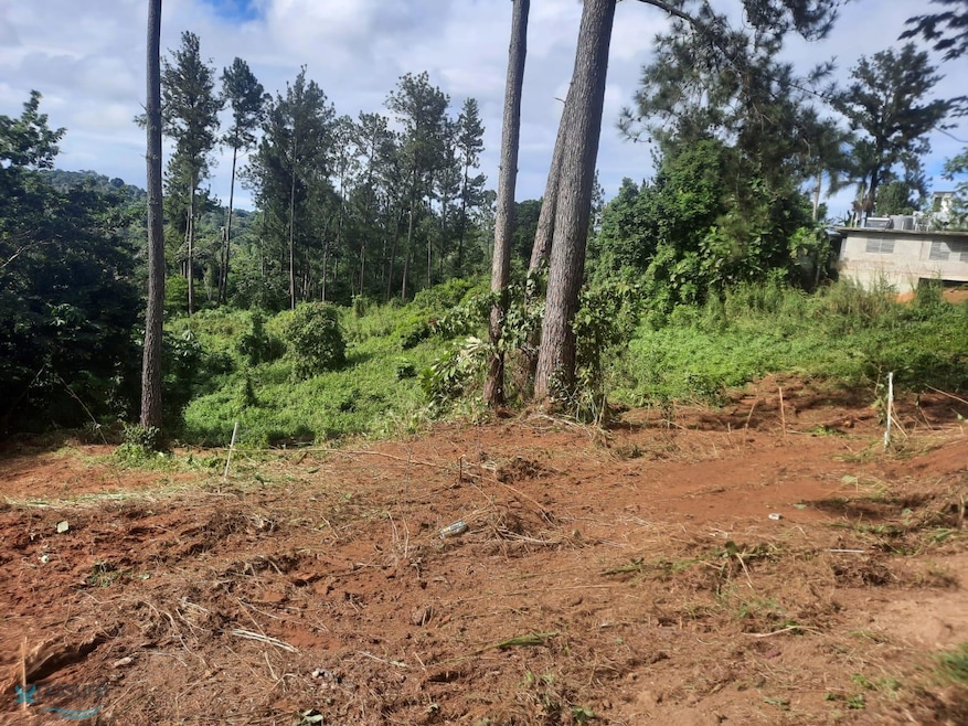 Km 1.65 Calle Reinita unit Parcela A, Moca, PR 00676 - photo 1