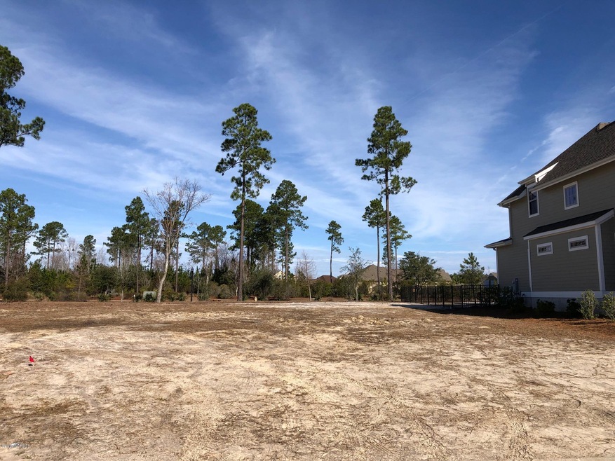 1376 Cross Water Cir, Leland, NC 28451 - photo 1