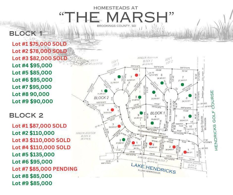L8, B1 Homesteads at the Marsh Addtn, Hendricks, MN 56136 - photo 1