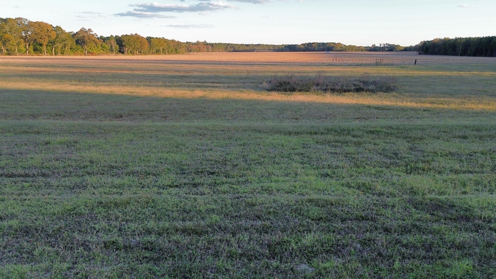 temp_image_for_default_share