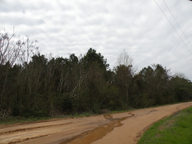 00 Pleasant Creek Rd unit 98, Douglas, GA 31533 - photo 1