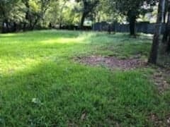 7019 Sidney St, Houston, TX 77021 - photo 1