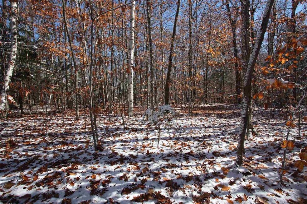 15 Deep Woods Cir unit Lot 15, Winhall, VT 05255 - photo 1