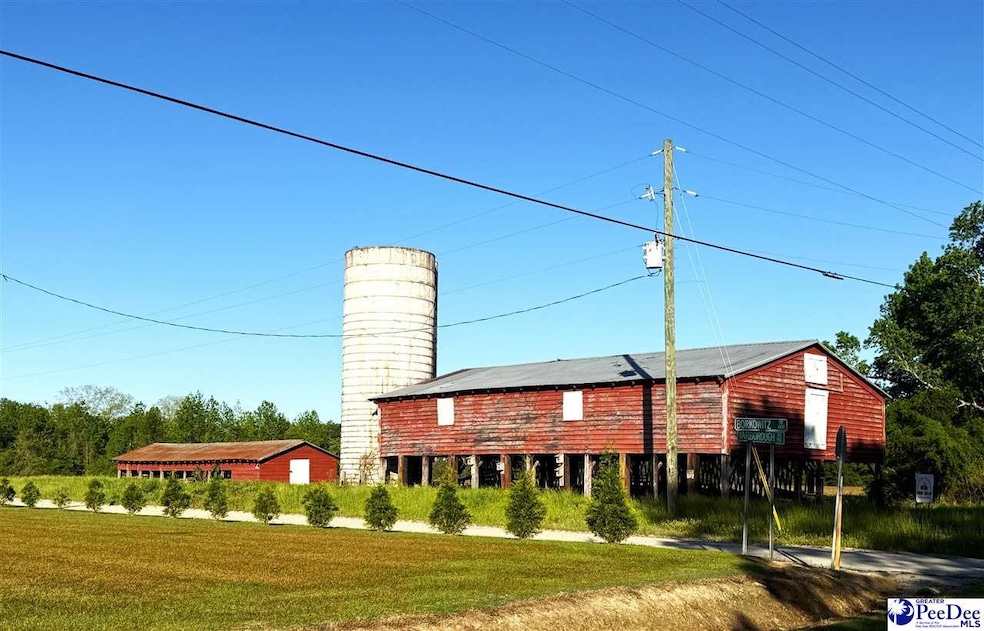 Red Barn Tract State Road S-21-881, Scranton, SC 29591 - photo 1